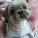 신림중학교 이미지