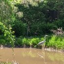 여치공원 이미지