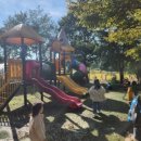 늘푸른캠핑장 이미지