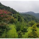 좋은데 펜션 이미지