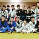 격투창고 MMA 이미지