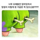 어질현 이미지