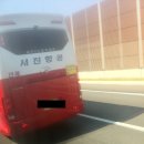 서진여행사 이미지