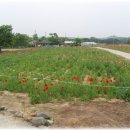 장은3리마을회관 이미지