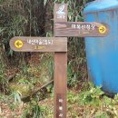 2017년 4월 6일(목) 전남 고흥 마복산(539m) 암릉, 진달래 벚꽂 산행 후 우주발사전망대.남열해수욕장 탐방 이미지