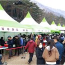 신년 해맞이 이미지