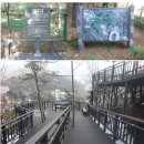 (주)나무 이미지