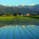 승화농장 이미지