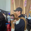 11650-17-162-8 | 2026 마이펫페어 송도 후기 / 마이펫랜드 참여 후기, 아콩이네 쇼핑리스트