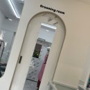 주주펫 살롱 이미지