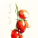 수채화(초급) 이미지