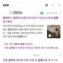 보타닉동물병원 이미지
