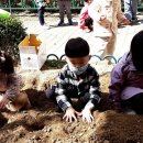 나무와열매어린이집 이미지