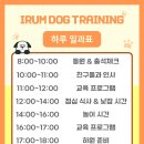 이룸독트레이닝 이미지