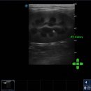 튼튼동물의료센터 이미지