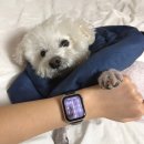 씨유 대치예스점 | 애플워치 se3 수면 측정, 헨뤼 5세와의 주말 후기