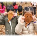 엄지창의어린이집 이미지