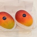 농부청과 이미지