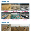 수삼랜드 이미지