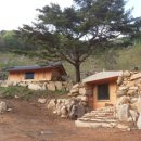 황토와소나무 이미지