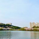 해운공업 동해 주식회사 | [울산 남구] 울산 신화마을 - 전 견종 가능 · 맹견 입마개 · 목줄 착용 · 배변봉투 지참