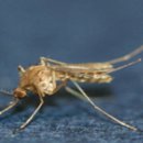 후인농장 이미지