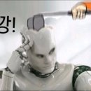 서울의휴일2 | 알고리즘 끈 사람이 요즘에 본 것들
