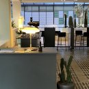 커피 선인장(suninjang) 이미지