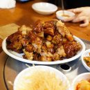논골집 Daum카페