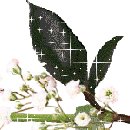 미리메리크리스마스🌲도운님 이미지