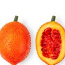 걱(Gac Fruit) 효능, 영양 성분, 주의사항, 걱오일이 좋은 이유 이미지