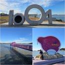 신안천사자동차공업사 | 신안 천사섬 기차여행 퍼플교 퍼플마을(박지도) 천사대교 퍼플섬에서 빵 터진 즐거움