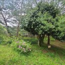 무장농장 이미지