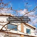 그라운드소요 - 113405 | 그라운드소요