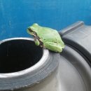 도도농장 이미지