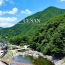 이마트24 배내골점 | 울산 배내골 계곡 추천｜바닥까지 보이는 맑은 물, 아이들과 물놀이하기 좋은 곳