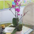 충주부동산이야기공인중개사사무소 이미지