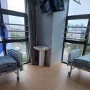 예스365한방병원 이미지