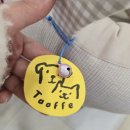 로얄세탁 | 용인 펫막스 강아지 유모차 로얄테일즈 뉴 그레이스 스탠다드 베이지 내돈내산 구매 후기