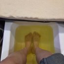 비부정 | [ 대만 여행 ] 타이베이, 부정후기 😷