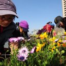 머믄자리 이미지