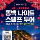 동백투어 - 해남군 중앙1로 146 | 동백투어