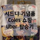 커피602 | [호주여행] 시드니 우버 아시아나 OZ602 탑승 후기