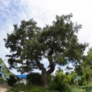 두원공소 이미지