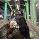 페리해피 | 홍콩 DAY 1 | 미드레벨, 베이크하우스, 소호거리, 란콰이퐁, 스타의거리, 스타페리