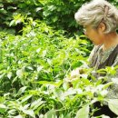 마산골농장 이미지