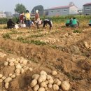 평동농장 이미지