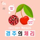 육또바기