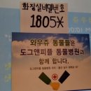 도그앤피플 동물병원 이미지