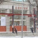 브라운칩 이미지